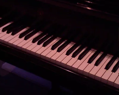 Roland V-Stage88 88-Key Weighted Action Stage Keyboard