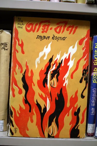 Shatavari