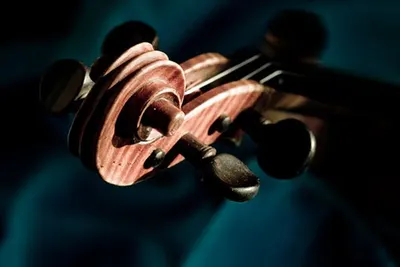 Musical movement
