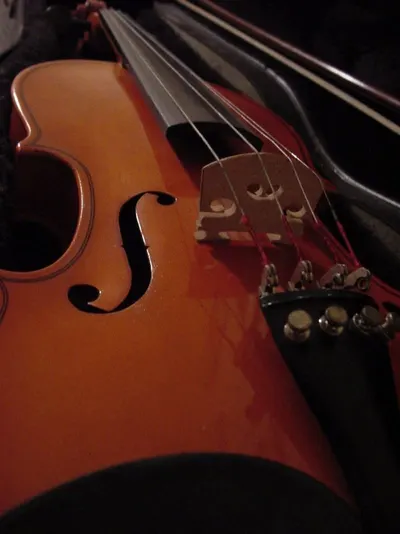 Violin Chinrest by A D Musicals