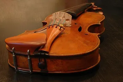 Violin leather case