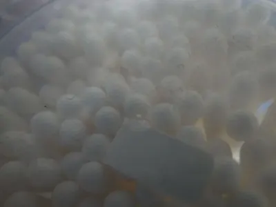 Pearl White Soap