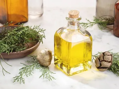 SJP Castor Oil