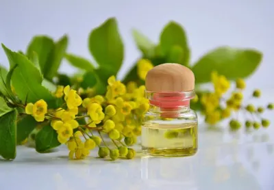 Essential Oil (Lemon Balm)