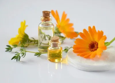 Lemon Balm Essential Oil (Melissa officinalis)