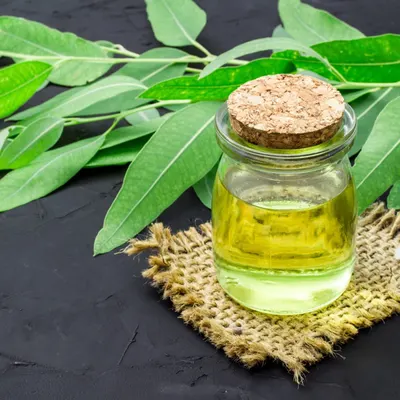 Fitocare Eucalyptus Oil
