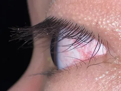 Horse hair false eyelash