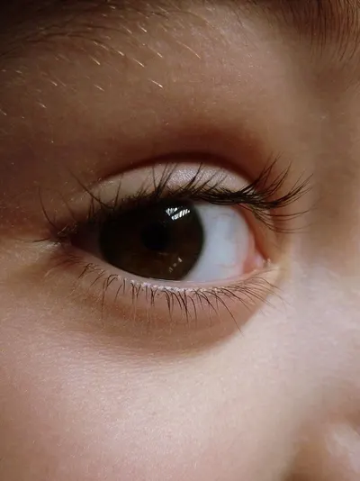 Eyelash False