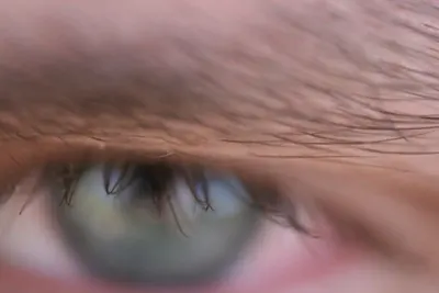 Mink hair false eyelash