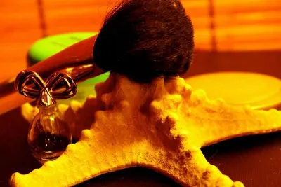 Wood Shaving