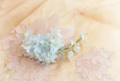 Shoulder Chiffon Pearls Beach Bridal Gown by Asia Apparel Company Limited