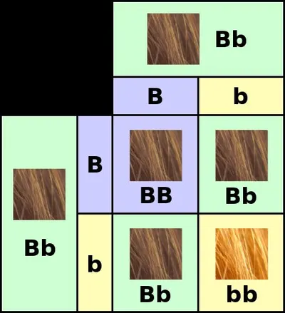 Nisha Hair Color