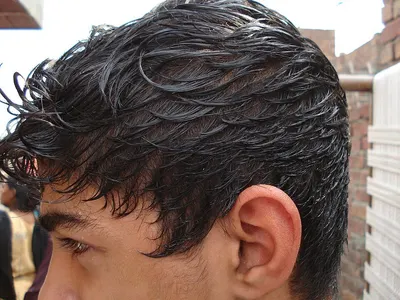 Hairpol