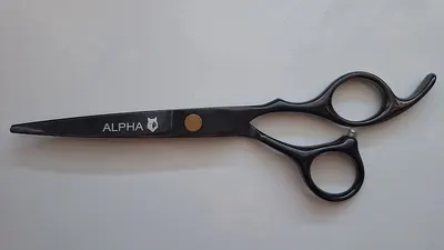 ALPHA Z