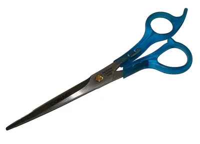 Metzenbaum Scissor (6 Inch )