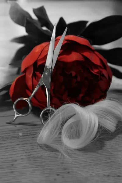Eyebrow Trimming Scissors