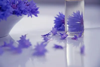 Lavender Oil