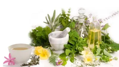 Herbal Product And Herbal Extract