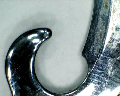 Stingray bangle