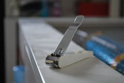 Nail Clipper / Nail Cutter 401 L