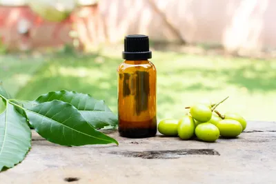 Latika All-Purpose Ayurvedic Hair Oil