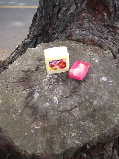 Cocoanut soap