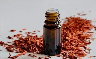 Cinnamon Oil by Hebei Kenbin Technology Co., Ltd.