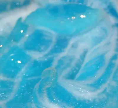 Shaving foam