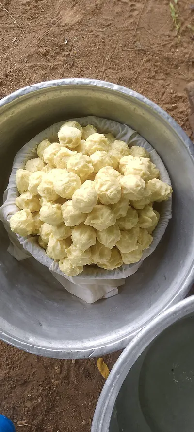 Paneer Momo by Regen Services
