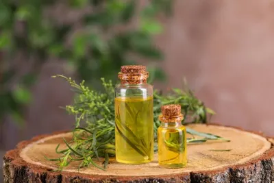 Olive Oil And Laurel Oil