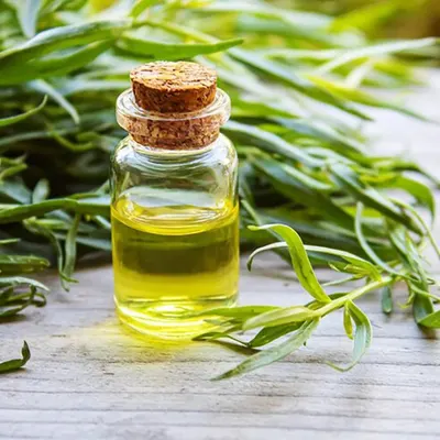 Tea Tree Oil