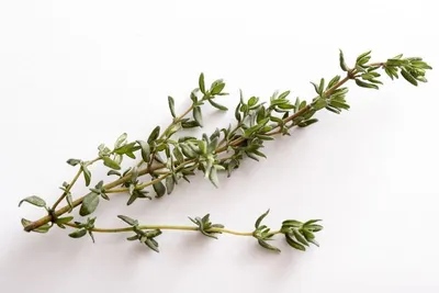Organic Dreid Thyme Herbs