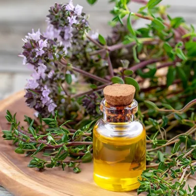 Oregano Oil