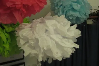 Tissue Paper