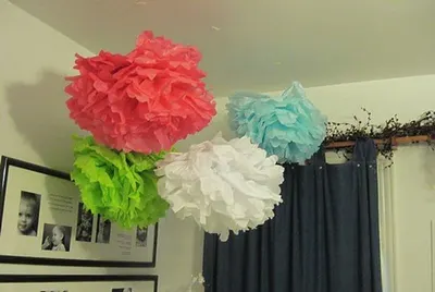 Tissue Paper Pom Pom  2pic