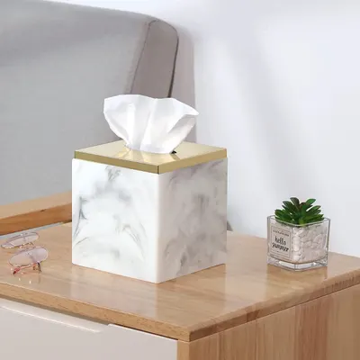 Tissue Holder