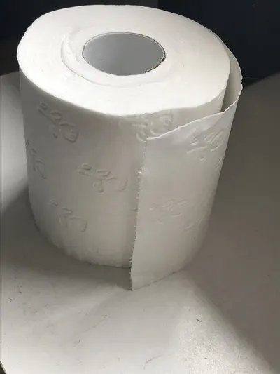 1000 Sheets Toilet Tissue