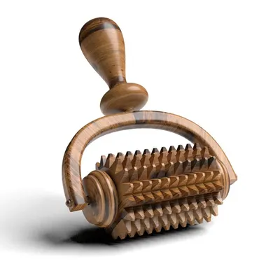 Varnished Wooden Palmyra Hand Brush