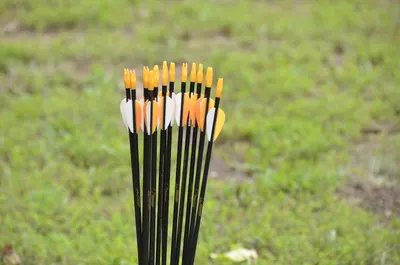REEGOX 30 inch Hunting Arrow