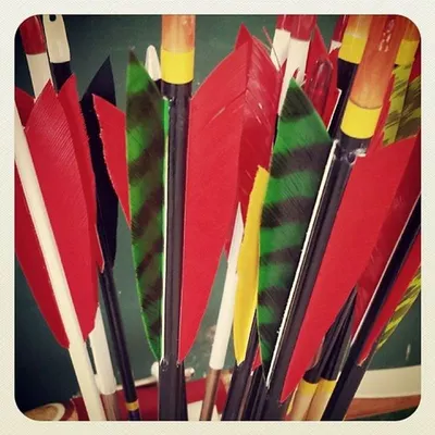Parrot Picks / Salling Picks by Zhaoqing Warmsing Imp. & Exp.Trading Co., Ltd.