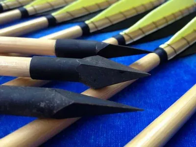 Bone chisels