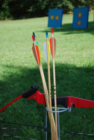 STAG Tournament Playset (2 Bats, 3 Seam Balls) by Sikhan International Pvt Ltd