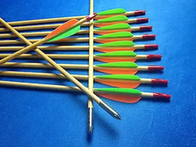 30 Inch Fiberglass Practice Hunting Arrows