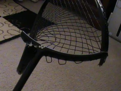Folding cat trap for animal control