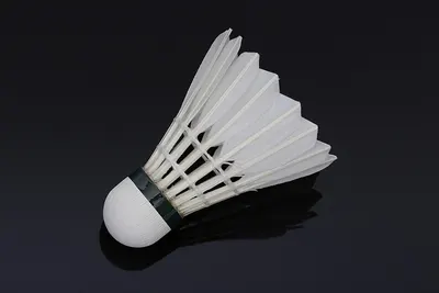 Feather shuttlecock