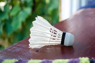 Twine Brush