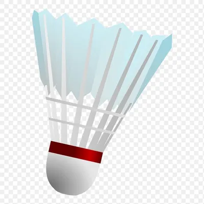 Badminton Feather Shuttlecock QSICO by Q S I Collection