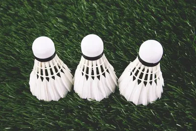 Tassels Carrige
