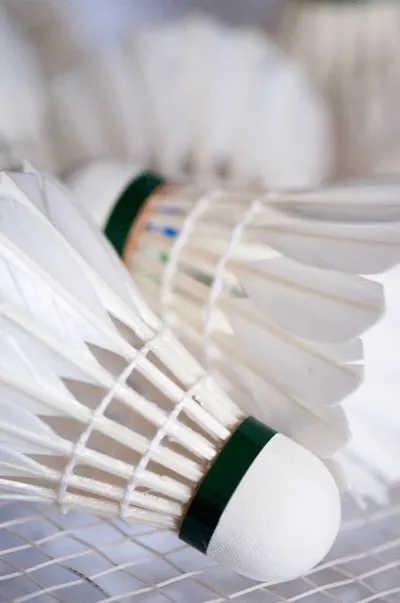 Goose feather shuttlecock
