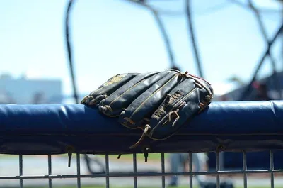 Baseball Batting Gloves Belief by DEESHA INDUSTRIES